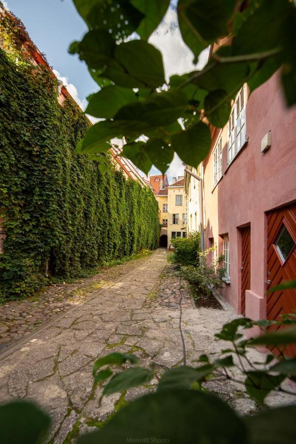 Medieval Home タリン エクステリア 写真